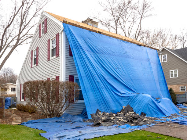 Best Vinyl Siding Installation  in Oyster Creek, TX